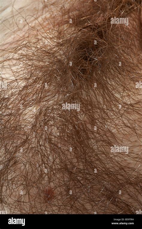 Sexy Hairy Woman. . Hairy pussies